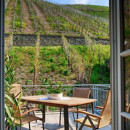 Сasa de vacaciones Altes Loerscher Winzerhaus