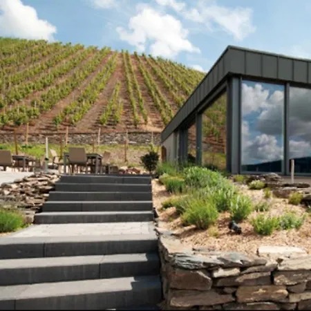 Altes Loerscher Winzerhaus Сasa de vacaciones Mehring (Rhineland-Palatinate)