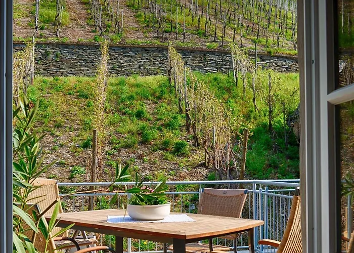 בית נופש Altes Loerscher Winzerhaus