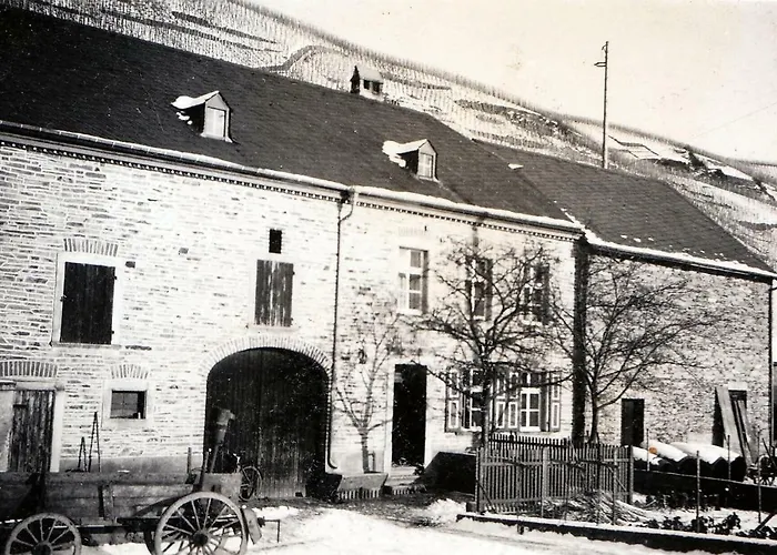 Altes Loerscher Winzerhaus מרינג